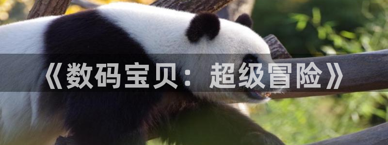 羞羞漫画成人免费漫画